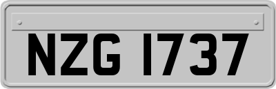 NZG1737