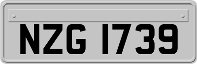 NZG1739