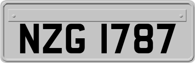 NZG1787