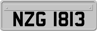 NZG1813