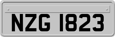 NZG1823