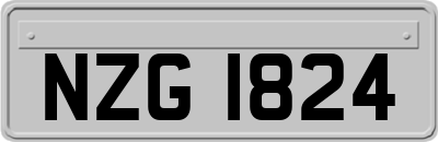NZG1824
