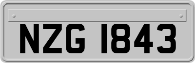 NZG1843