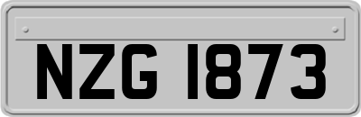 NZG1873