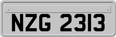 NZG2313