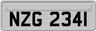 NZG2341