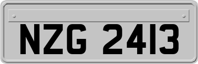 NZG2413