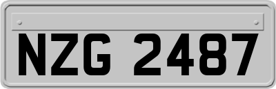 NZG2487