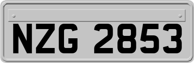 NZG2853