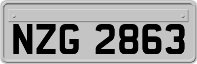 NZG2863
