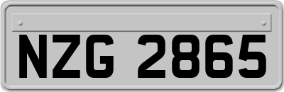 NZG2865