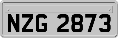 NZG2873