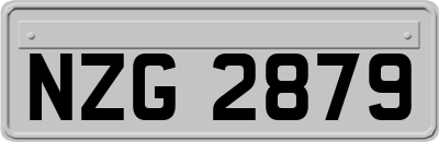 NZG2879