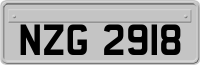 NZG2918