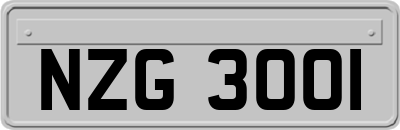 NZG3001