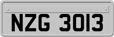 NZG3013