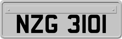 NZG3101