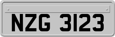 NZG3123