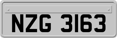NZG3163