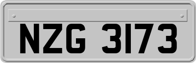 NZG3173