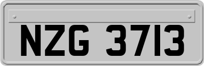 NZG3713