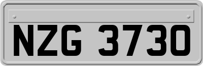 NZG3730