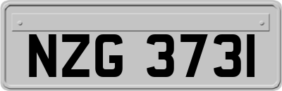 NZG3731