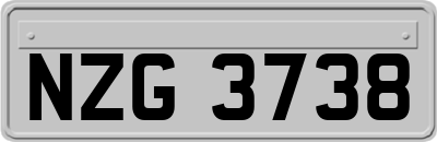 NZG3738