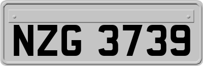 NZG3739