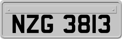 NZG3813