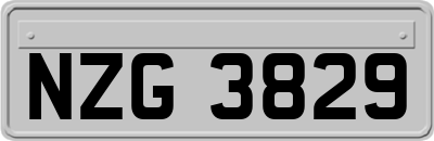 NZG3829