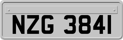 NZG3841