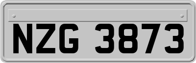 NZG3873