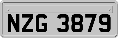 NZG3879