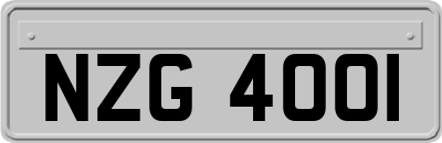 NZG4001