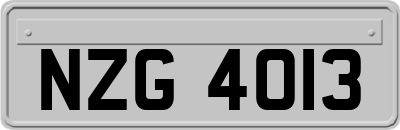 NZG4013