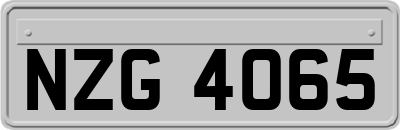NZG4065
