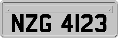 NZG4123