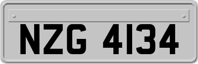 NZG4134
