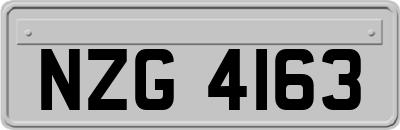NZG4163