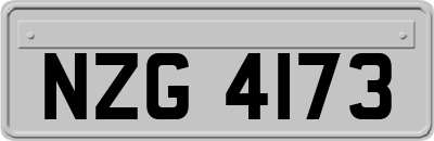 NZG4173