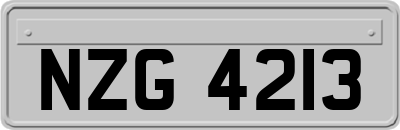 NZG4213