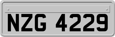 NZG4229