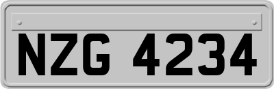 NZG4234