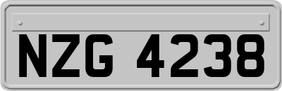 NZG4238
