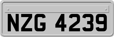 NZG4239