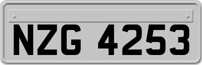 NZG4253