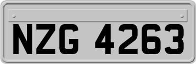 NZG4263