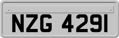 NZG4291