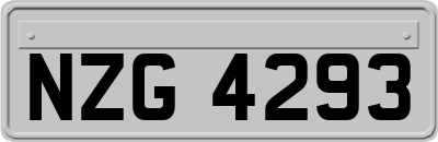 NZG4293